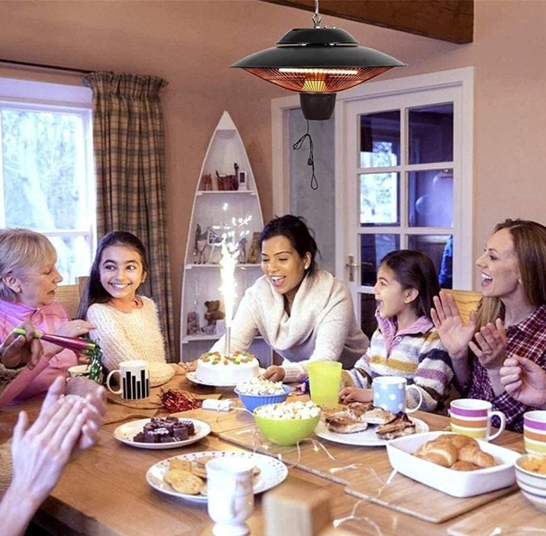 Wall mount heater for garden shed